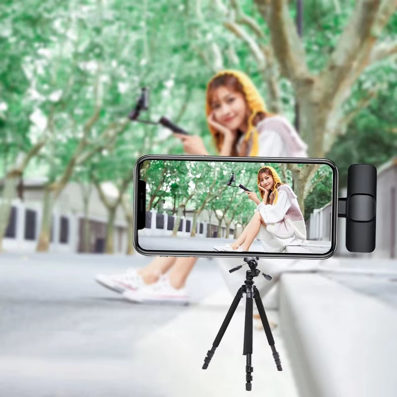 Mini Wireless Lavalier Microphone Windproof Wool Replaceable Lavalier Microphone for Iphone Youtube Vlog Audio Recording